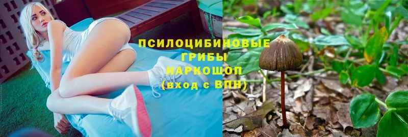 Псилоцибиновые грибы Magic Shrooms  Курильск 